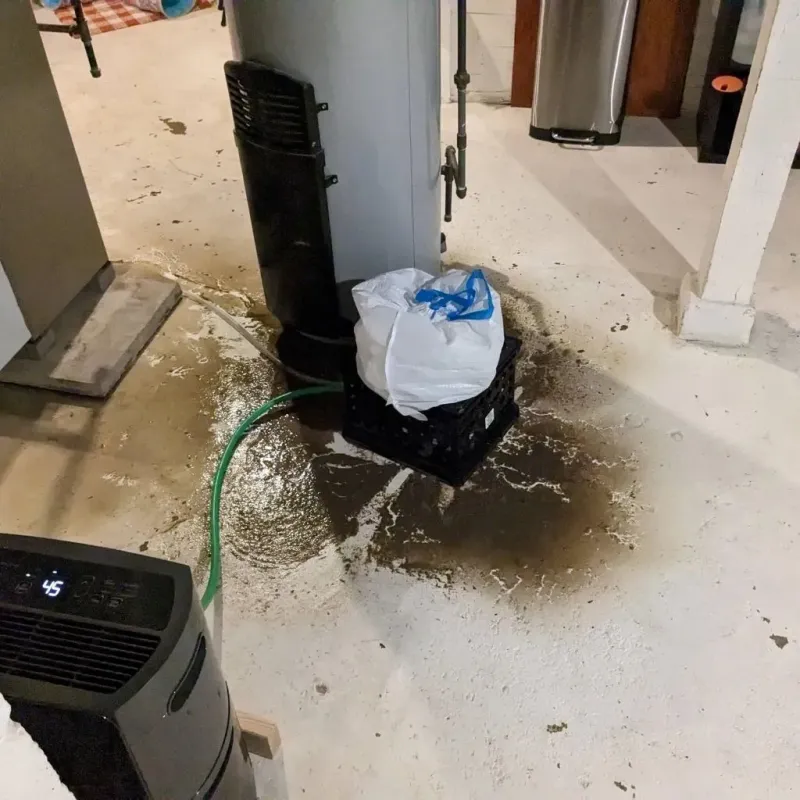 Sewage Backup Cleanup Service in Meade, KS